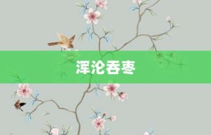 浑沦吞枣【浑沦吞枣的意思】- 成语大全