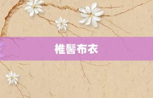 椎髻布衣【椎髻布衣的意思】- 成语大全