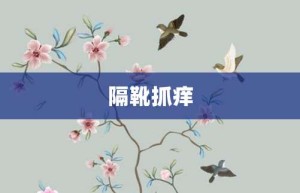 隔靴抓痒【隔靴抓痒的意思】- 成语大全