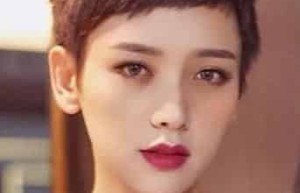 李晓峰【中国内地女演员、主持人】 – 人物百科