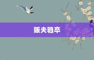 贩夫驺卒【贩夫驺卒的意思】- 成语大全