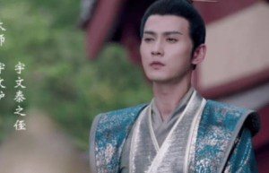 隋文帝把宇文皇族灭光了，那宇文化及又是哪来的？_帝王野史 菊江历史网