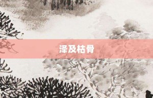 泽及枯骨【泽及枯骨的意思】- 成语大全