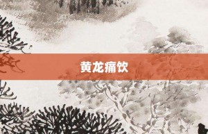 黄龙痛饮【黄龙痛饮的意思】- 成语大全