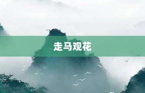 走马观花【走马观花的意思】- 成语大全