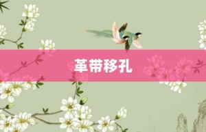 革带移孔【革带移孔的意思】- 成语大全