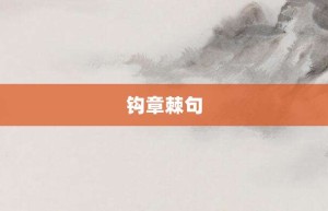 钩章棘句【钩章棘句的意思】- 成语大全