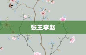 张王李赵【张王李赵的意思】- 成语大全