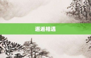 邂逅相遇【邂逅相遇的意思】- 成语大全