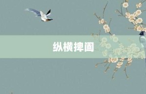 纵横捭阖【纵横捭阖的意思】- 成语大全