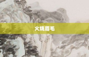 火烧眉毛【火烧眉毛的意思】- 成语大全