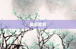 顾后瞻前【顾后瞻前的意思】- 成语大全