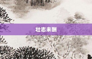 壮志未酬【壮志未酬的意思】- 成语大全