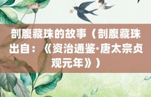 剖腹藏珠的故事（剖腹藏珠出自：《资治通鉴·唐太宗贞观元年》）_成语故事 菊江历史网