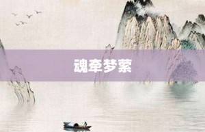 魂牵梦萦【魂牵梦萦的意思】- 成语大全