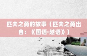 匹夫之勇的故事（匹夫之勇出自：《国语·越语》）_成语故事 菊江历史网