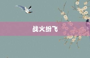 战火纷飞【战火纷飞的意思】- 成语大全