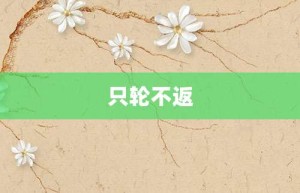 只轮不返【只轮不返的意思】- 成语大全