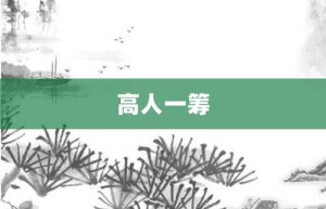 高人一筹【高人一筹的意思】- 成语大全