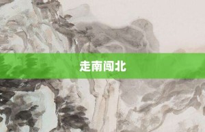 走南闯北【走南闯北的意思】- 成语大全