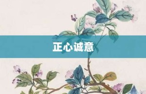 正心诚意【正心诚意的意思】- 成语大全