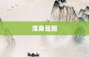 浑身是胆【浑身是胆的意思】- 成语大全