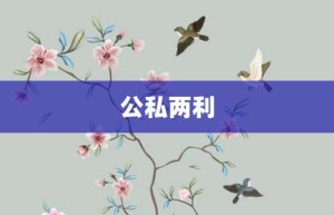 公私两利【公私两利的意思】- 成语大全