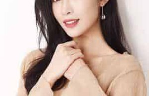 吴蓓【国际旅游小姐冠军，中国内地女演员、模特】 – 人物百科