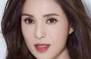 李若彤【中国香港影视女演员】 – 人物百科