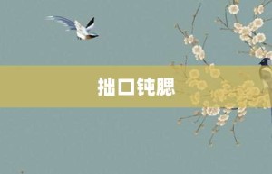 拙口钝腮【拙口钝腮的意思】- 成语大全