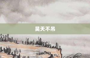 昊天不吊【昊天不吊的意思】- 成语大全