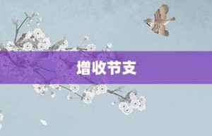增收节支【增收节支的意思】- 成语大全