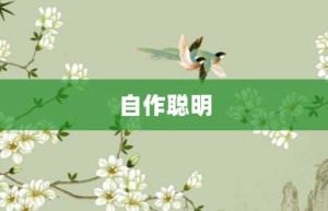 自作聪明【自作聪明的意思】- 成语大全