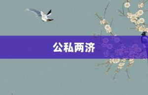 公私两济【公私两济的意思】- 成语大全
