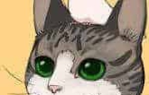 镰谷悠希【日本人气漫画家】 – 人物百科