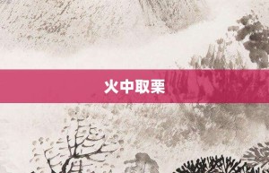 火中取栗【火中取栗的意思】- 成语大全