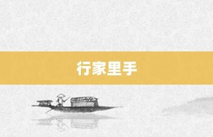 行家里手【行家里手的意思】- 成语大全