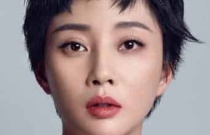 殷桃【中国内地影视剧女演员、国家话剧院演员】 – 人物百科