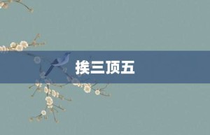 挨三顶五【挨三顶五的意思】- 成语大全