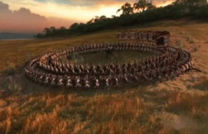 为何所向披靡的骑兵会被空心方阵克制呢？_古代战争 菊江历史网