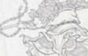 杜茂【东汉云台二十八将排第20位】 – 人物百科