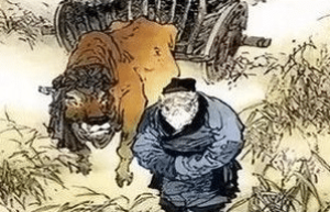 白居易《卖炭翁》的原文是什么？怎么翻译？_唐朝历史 菊江历史网