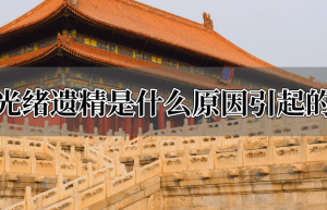 光绪遗精是什么原因引起的_帝王野史 菊江历史网