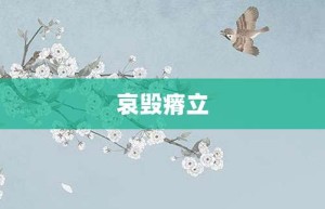 哀毁瘠立【哀毁瘠立的意思】- 成语大全
