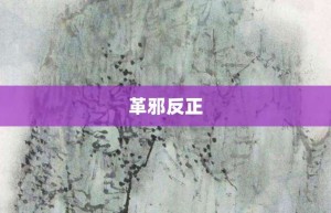 革邪反正【革邪反正的意思】- 成语大全