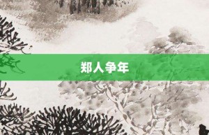 郑人争年【郑人争年的意思】- 成语大全