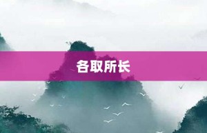 各取所长【各取所长的意思】- 成语大全