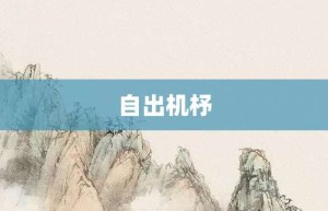 自出机杼【自出机杼的意思】- 成语大全