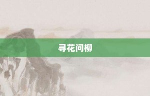 寻花问柳【寻花问柳的意思】- 成语大全