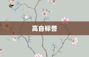 高自标誉【高自标誉的意思】- 成语大全